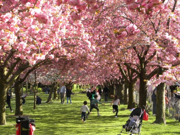 6a00e54fcf22f08834017eeabaf234970d-640wi